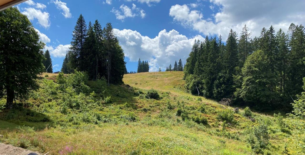 Ferienwohnung Feldberg Schwarzwald Exteriör bild