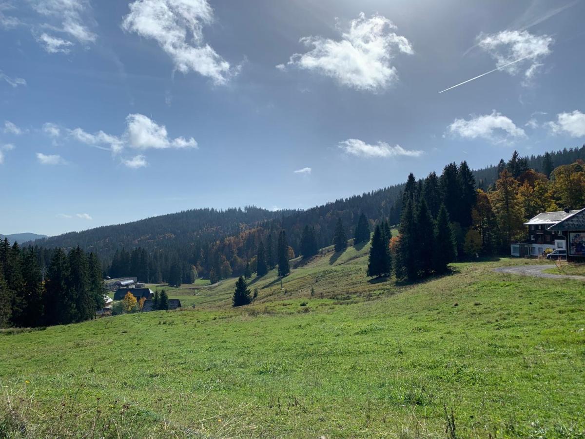 Ferienwohnung Feldberg Schwarzwald Exteriör bild