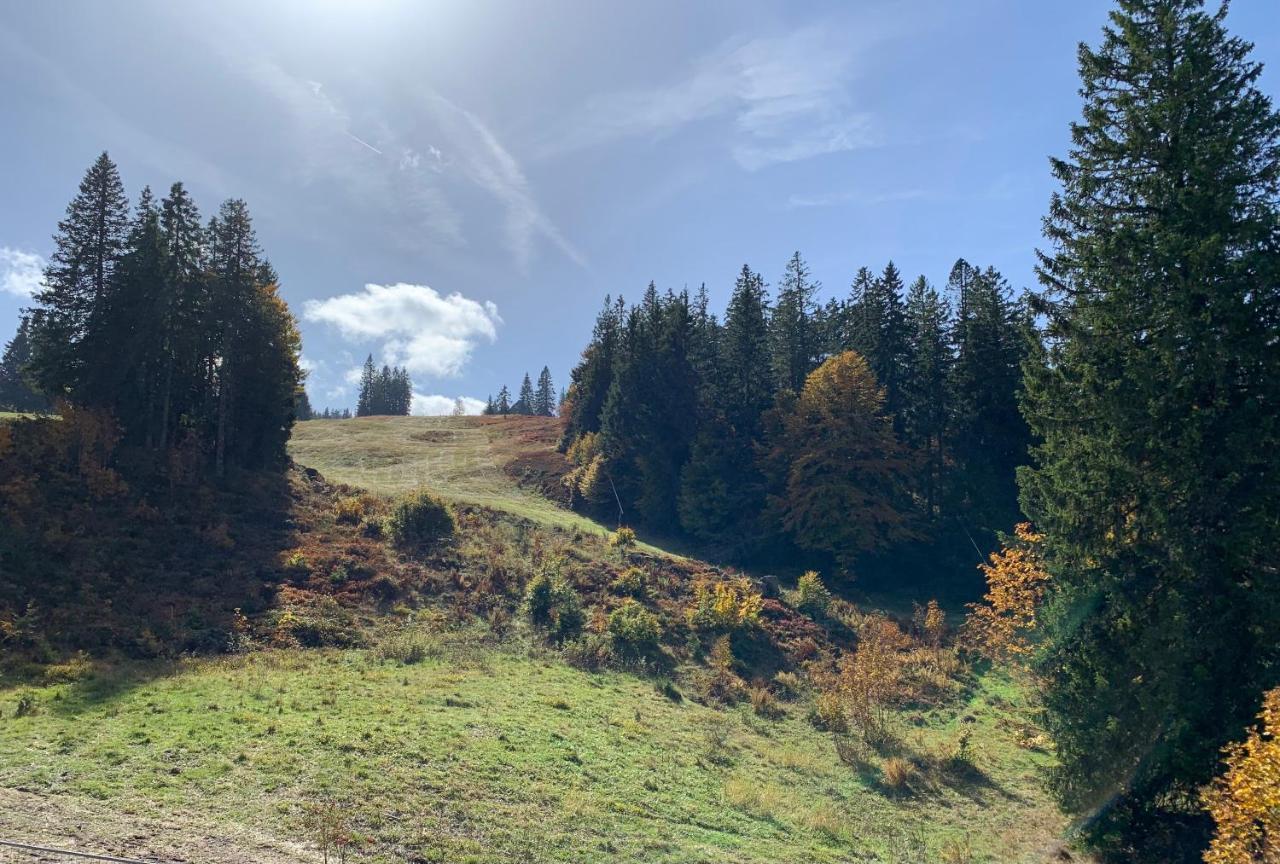 Ferienwohnung Feldberg Schwarzwald Exteriör bild