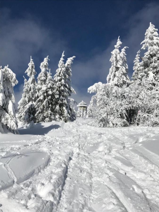 Ferienwohnung Feldberg Schwarzwald Exteriör bild