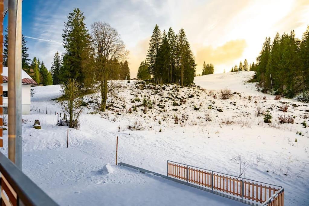 Ferienwohnung Feldberg Schwarzwald Exteriör bild